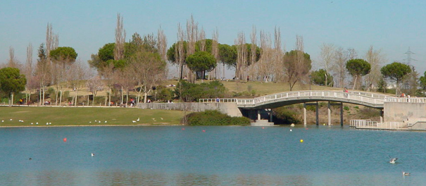 Campamentos Urbanos y Naturaleza