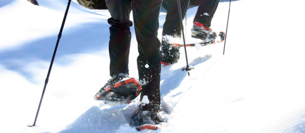 Ruta Raquetas de Nieve