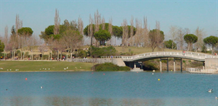 Campamentos Urbanos y Naturaleza