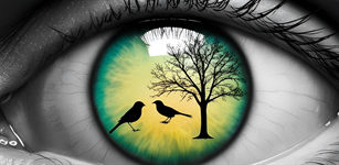 Concurso de Fotografía en la Naturaleza