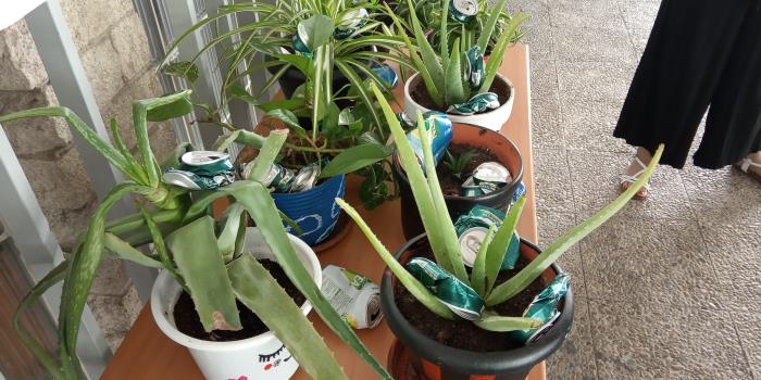 Corresponsales Dejóvenes en los Institutos Corresponsales Dejóvenes en los Institutos