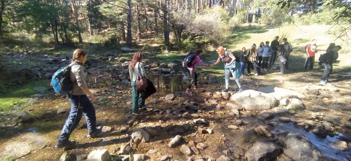 Compañerismo Compañerismo