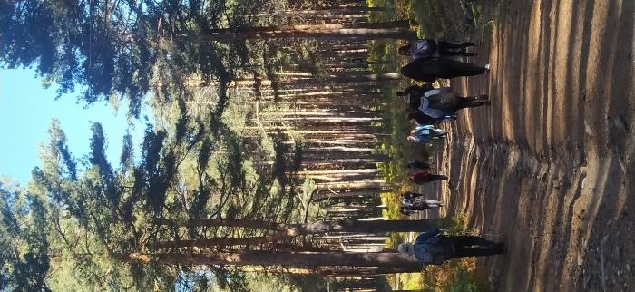 Compañía Compañía