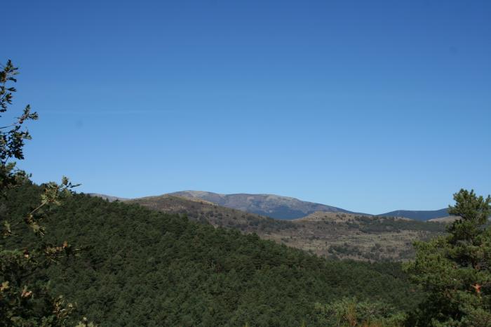 Recargando pilas Recargando pilas