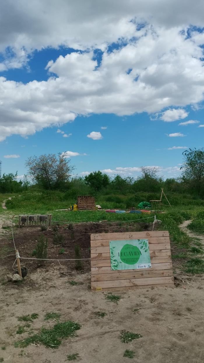 _Recuperar para Renacer_ _Recuperar para Renacer_