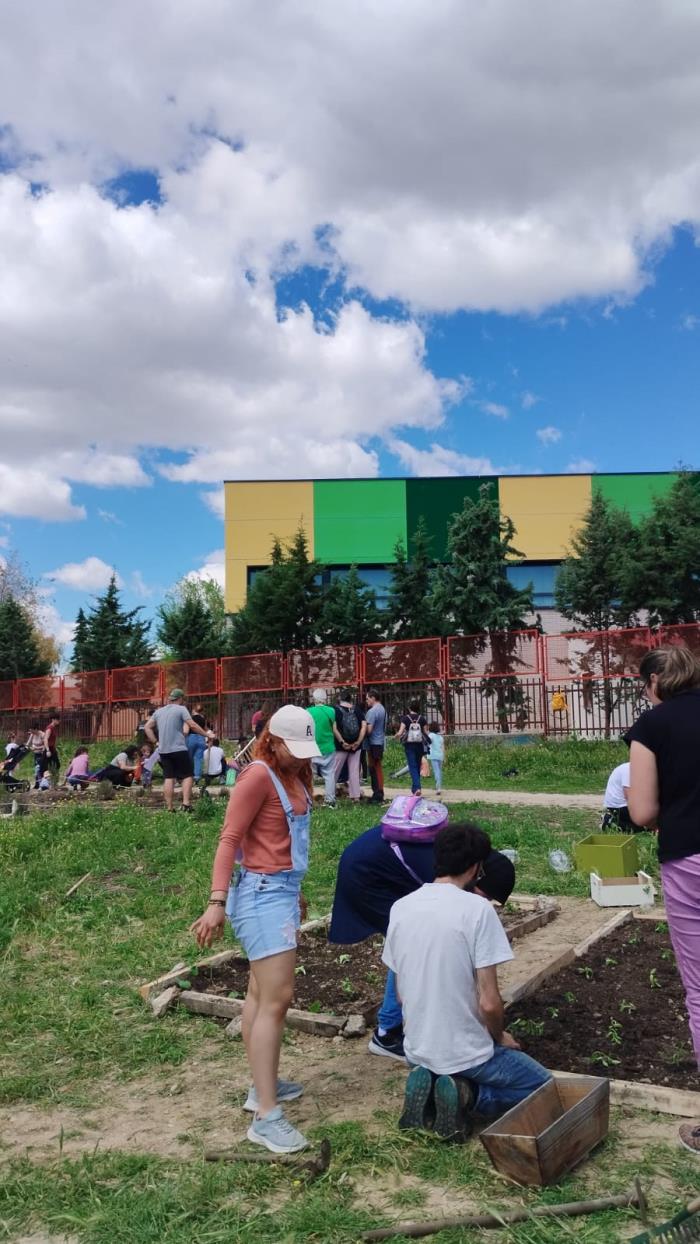 _Recuperar para Renacer_ _Recuperar para Renacer_