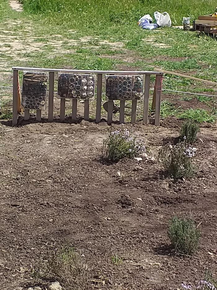 _Recuperar para Renacer_ _Recuperar para Renacer_