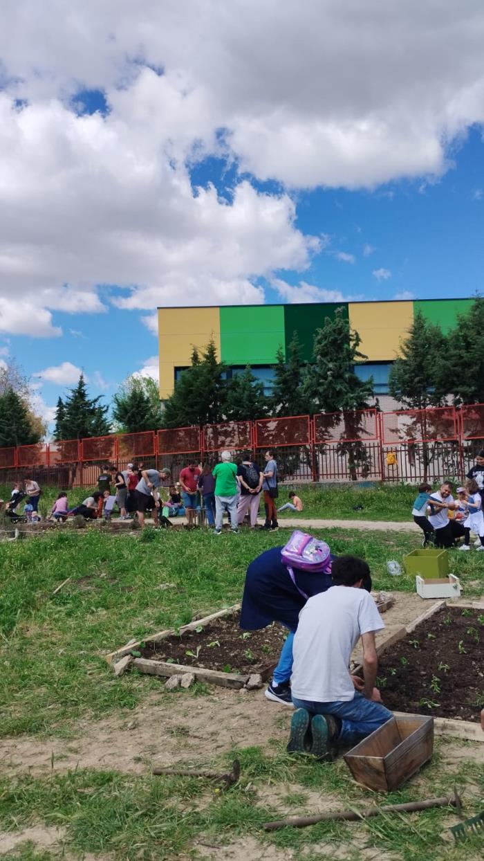 _Recuperar para Renacer_ _Recuperar para Renacer_